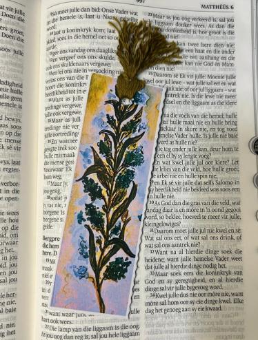 plant